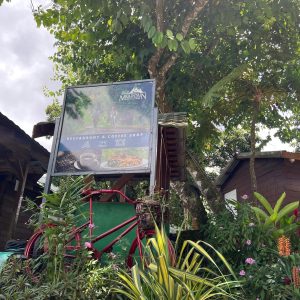 Adventure at Blue Moutain