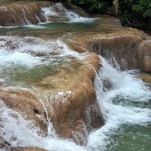 Endless Adventures Tours JA