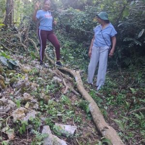 St Elizabeth Hiking