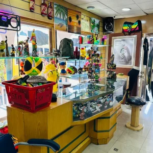 Taj Mahal Shopping Center Ocho Rios